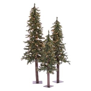 53d519dc02baffc2714d41e8ffb81565-1500